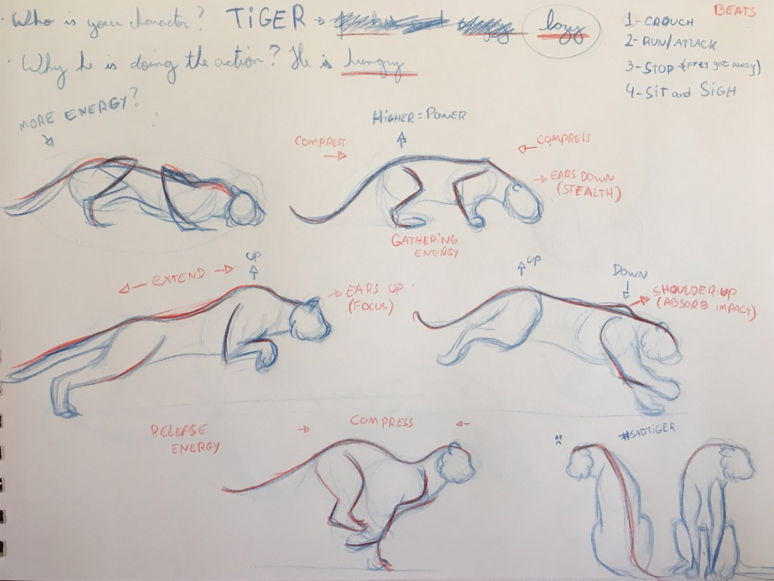 tiger_sketches